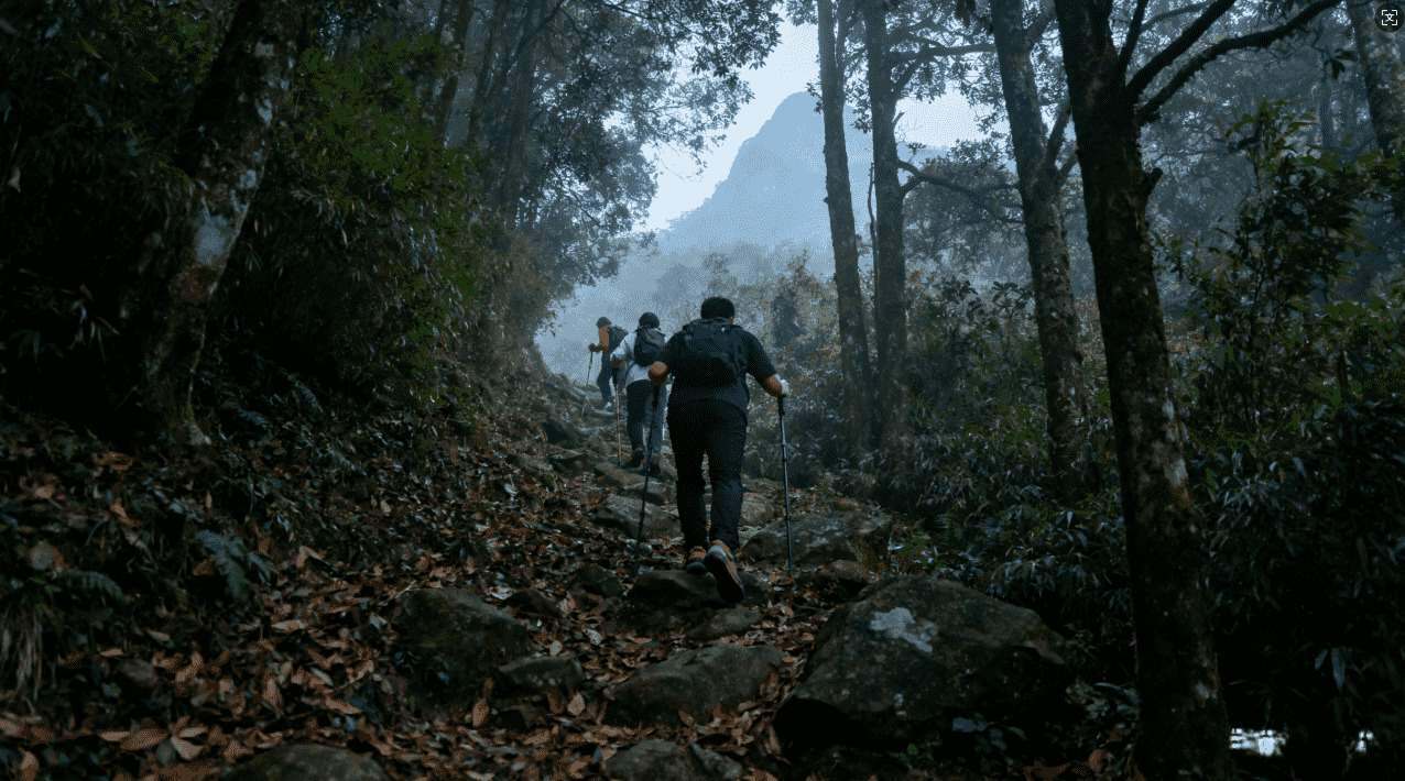 如何选择适合自己的v789加速器套餐